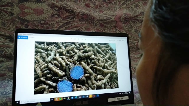 Ilustrasi Manfaat kunyit hitam untuk kesehatan anak. Foto: Repro Foto/kumparan