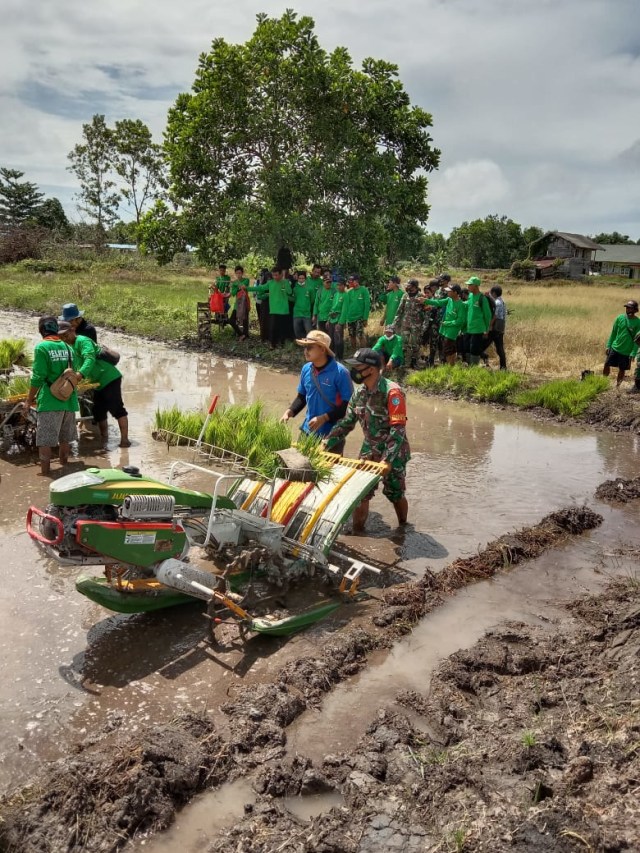 Pelaksanaan program lumbung pangan atau food estate. Foto: Kemhan