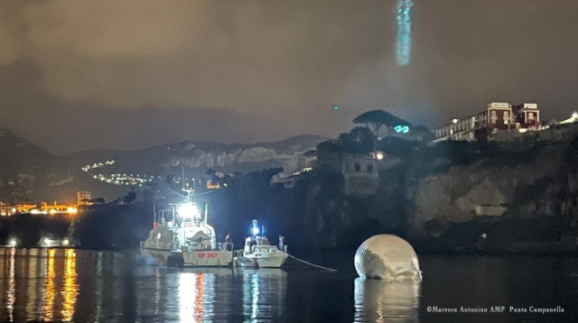 Paus sirip besar terdampar di Italia.  Foto: Facebook/Guardia Costiera/Coast Guard of Italy