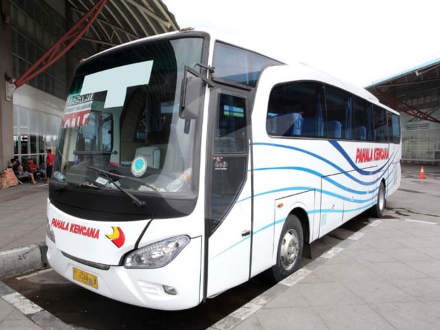 PO Pahala Kencana. Foto: dok. Traveloka