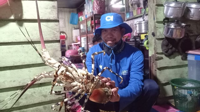 Nelayan pengguna platform e-commerce Aruna Indonesia memamerkan lobster hasil tangkapannya. Foto: Dok. Aruna Indonesia