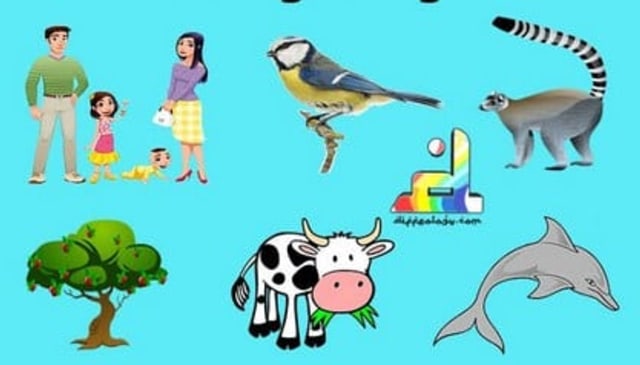 Ilustrasi Makhluk Hidup, sumber: Guru Pendidikan