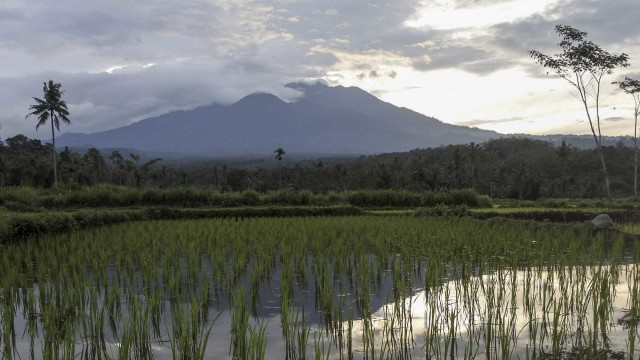 Gunung Raung (3.332 mdpl) terlihat dari Desa Gunung Malang, Sumberjambe, Jember, Jawa Timur, Jumat (29/1/2021).  Foto: Seno/ANTARA FOTO