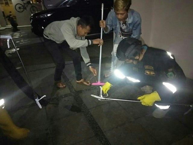 Petugas Damkar menangkap seekor ular weling di kediaman Sekda Kabupaten Kuningan. (Istimewa)