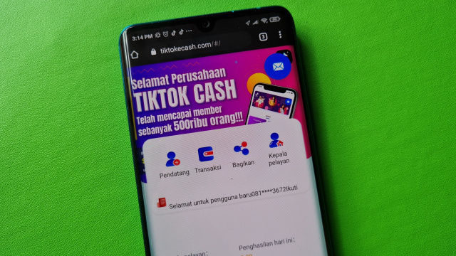 Ilustrasi TikTok Cash. Foto: Bianda Ludwianto/kumparan