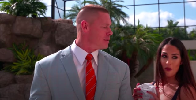 sumber: Youtube The Bella Twins