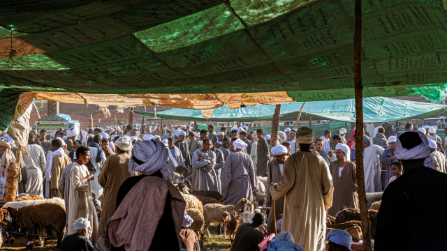 Ilustrasi teori Arab tentang masuknya Islam ke Indonesia  Foto: Getty Images