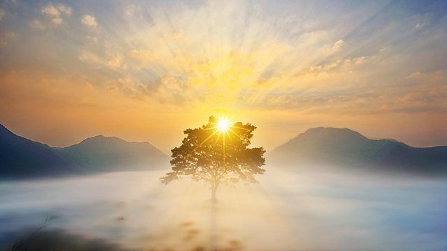 Ilustrasi Pengharapan, sumber: BBC