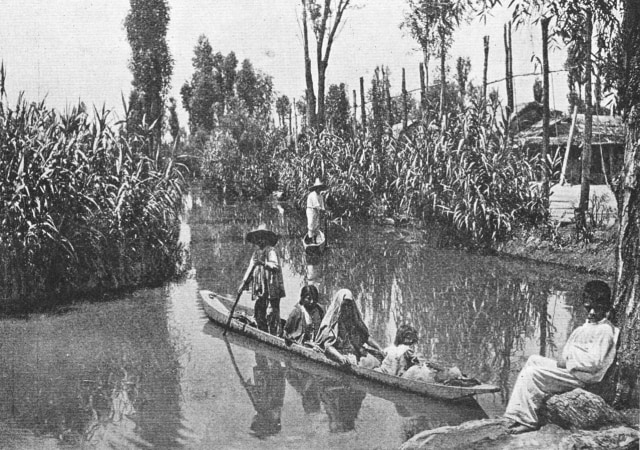 Chinampa. Sumber: Wikimedia Commons