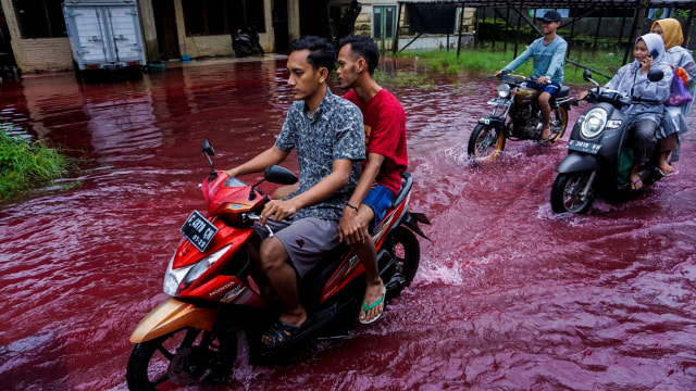 Air banjir yang berwarna merah di Pekalongan, Jawa Tengah. Foto: ANTARA FOTO/Harviyan Perdana Putra