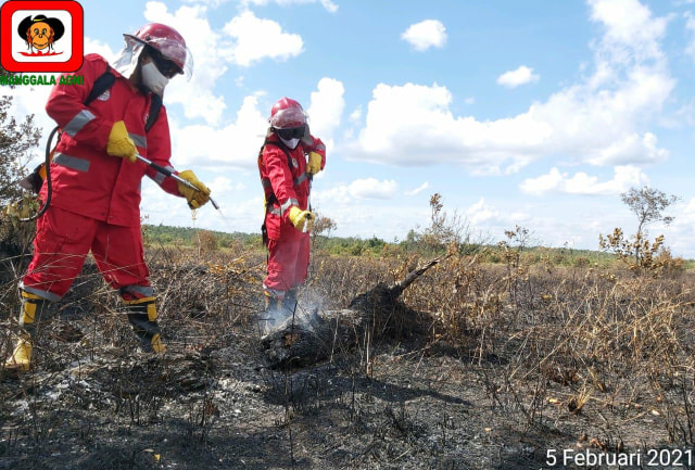 Manggala Agni  Daerah Operasi (Daops) Kalimantan III/Pangkalan Bun lakukan Mopping Up pada areal kebakaran hutan dan lahan (karhutla). Foto: IST