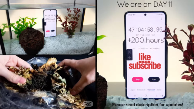 Samsung Galaxy S21 bisa tahan di dalam air Foto: YouTube Photo Owl Time Lapse