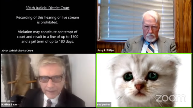 Seorang pengacara bernama Ron Ponton muncul ke persidangan yang digelar virtual dengan filter wajah kucing. Foto: 394th District Court of Texas via Youtube