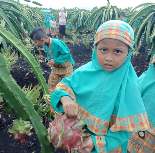 Sejumlah anak TK Al-Hidayah I saat mengunjungi tempat wisata petik buah beberapa tahun lalu sebelum pandemi Corona. (FOTO: Dokumen TK Al-Hidayah 1 Palangka Raya).