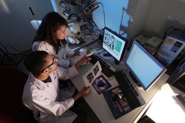 Penelitian dalam Laboratorium. Foto: dok Pixabay