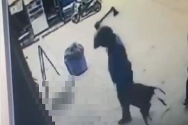 Tangkapan video.