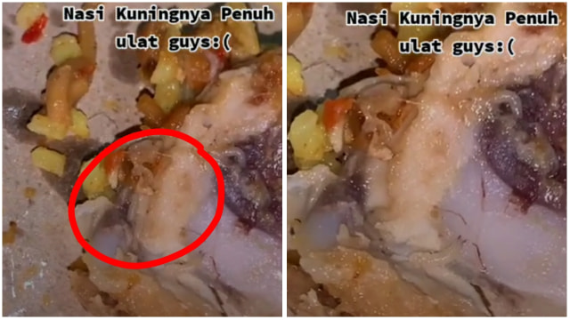 Dok. TikTok.com/ @ilmiin