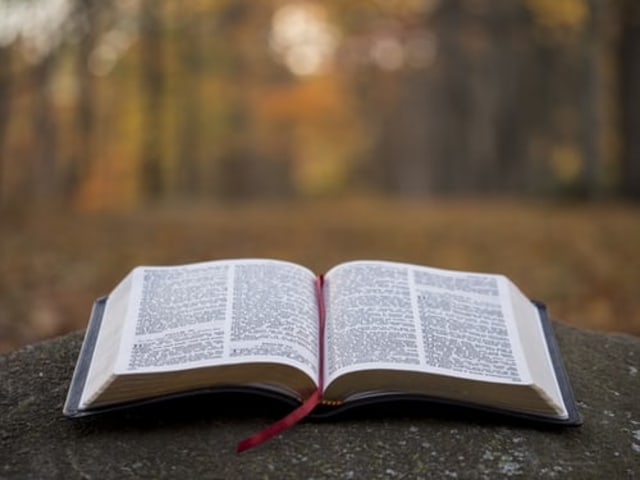 Ilustrasi buku non fiksi. Foto: Unsplash