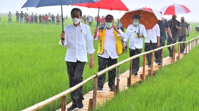 Presiden Joko Widodo meninjau lokasi food estate yang terletak di Bukit Ngora Lenang, Lai Patedang, Desa Makata Keri, Kec Katiku Tana, Kab Sumba Tengah, NTT, Selasa (23/2/2021). Foto: Agus Suparto/Presidential Palace
