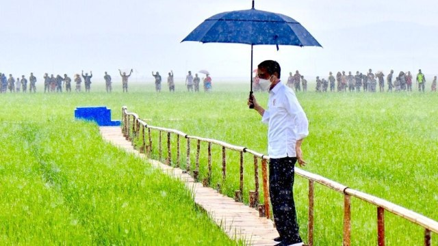 Presiden Joko Widodo meninjau lokasi food estate yang terletak di Bukit Ngora Lenang, Lai Patedang, Desa Makata Keri, Kec Katiku Tana, Kab Sumba Tengah, NTT, Selasa (23/2/2021). Foto: Agus Suparto/Presidential Palace