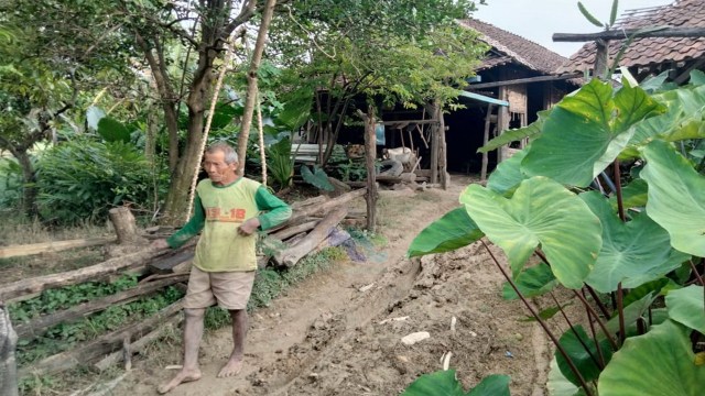 Kondisi tempat tinggal Mbah Pasrum, warga Desa Kedungsumber, Kecamatan Temayang, Kabupaten Bojonegoro. (foro: dan/beritabojonegoro)
