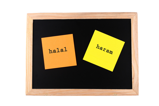 Ilustrasi halal dan haram. Foto: Shutter Stock
