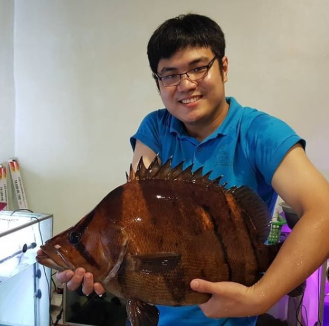 Bisnis Ikan Hias/Instagram/@nicholaskurniawan93