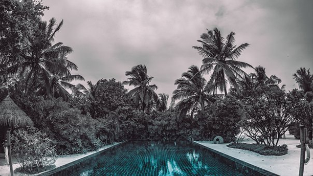 Ilustrasi kolam renang horor, dok: pixabay