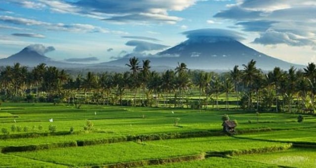 Ilustrasi desa. Foto: theindonesianinstitute.com