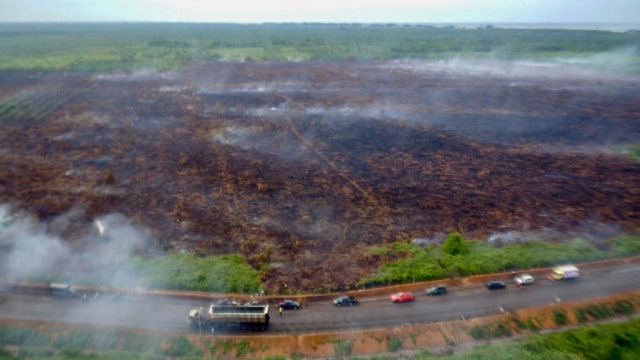 Kebakaran hutan di Aceh Barat dan Nagan Raya. Foto: Edo