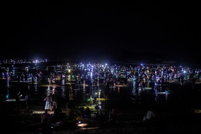 Sejumlah warga mencari dan mengumpulkan "Nyale" (cacing laut warna-warni) di Pantai Seger, Kawasan Ekonomi Khusus (KEK) Mandalika, Kuta, Praya, Lombok Tengah, Nusa Tenggara Barat (NTB), Kamis (4/3). Foto: Aprilio Akbar/ANTARA FOTO