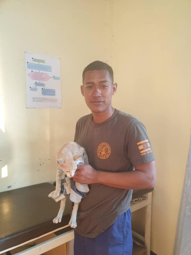 Aksi heroik lelaki bernama Thatsaphon Saii di Thailand selamatkan empat ekor kucing yang nyaris tenggelam dari kapal yang terbakar. (Foto: Facebook/ตลาดราชบุรีออนไลน์ ซื้อ ขาย)