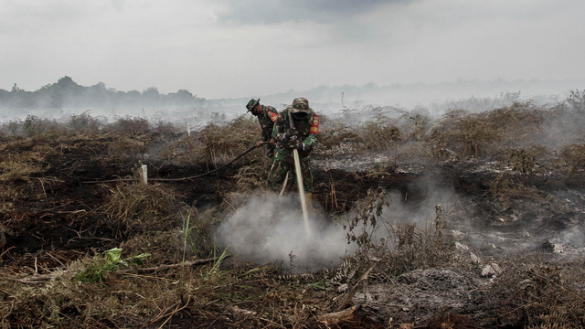 Petugas TNI menyemprotkan air kearah lahan gambut yang terbakar di Desa Rimbo Panjang, Kabupaten Kampar, Riau, Selasa (9/3/2021). Foto: Rony Muharrman/ANTARA FOTO