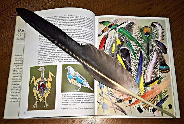Contoh buku yang menyajikan teks non fiksi. Foto: Pixabay