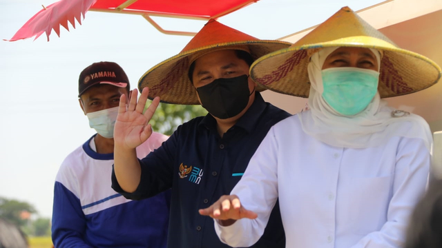 Menteri BUMN Erick Thohir bersama Gubernur Jawa Timur Khofifah Indar Parawansa saat Panen Raya di Kabupaten Gresik.  Foto: Kementan RI