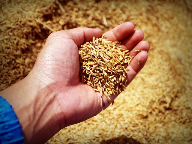Berzakat. Foto: dok Pixabay