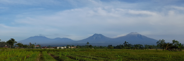 Komplek Gunungapi Ijen dari kiri ke kanan (G. Raung, G. Pendil, G. Rante, dan G. Merapi). Foto diambil dari Kelurahan Pakis, Banyuwangi (Dokumentasi Pribadi)