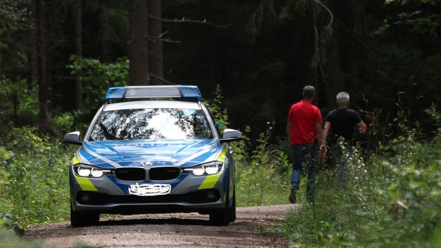 Ilustrasi polisi hutan. Foto: Pixabay