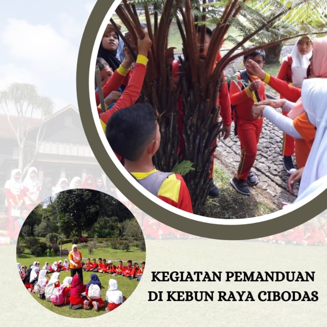 Kegiatan Pemanduan di Kebun Raya Cibodas