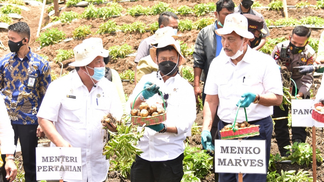 Mentan Syahrul Yasin Limpo bersama Menko Marves Luhur Binsar Pandjaitan dan Menteri PUPR Basuki Hadimoeljono meninjau kawasan food estate di Kabupaten Humbang Hasundutan. Foto: Kementan RI