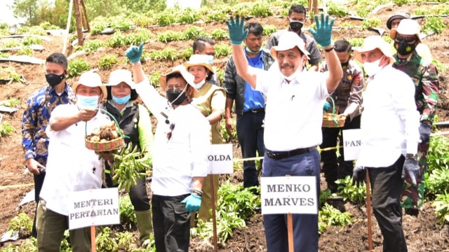 Mentan Syahrul Yasin Limpo bersama Menko Marves Luhur Binsar Pandjaitan dan Menteri PUPR Basuki Hadimoeljono meninjau kawasan food estate di Kabupaten Humbang Hasundutan. Foto: Kementan RI