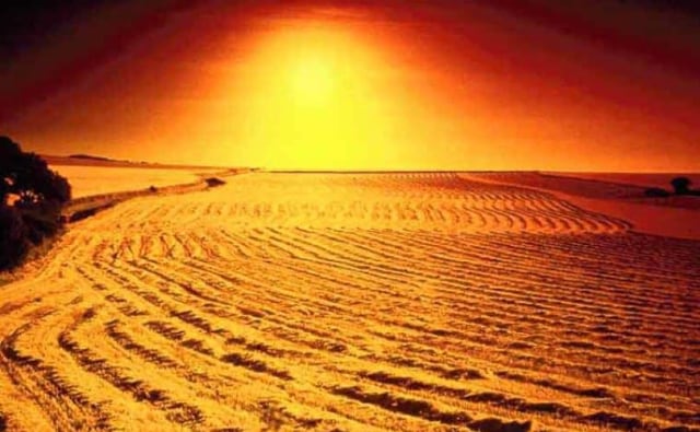 Ilustrasi Yaumil Hasyr. Foto: Muslim.or.id