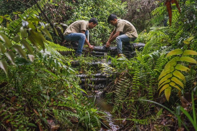 Panas terik dan hujan deras saat mengecek lokasi restorasi di pedalaman hutan merupakan hal biasa bagi Dian Andi Syahputra. Foto: dok. RAPP