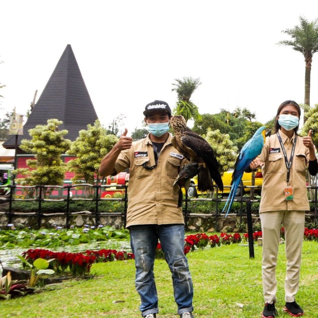 Lembang Park and Zoo Foto: Instagram @lembang_parkzoo