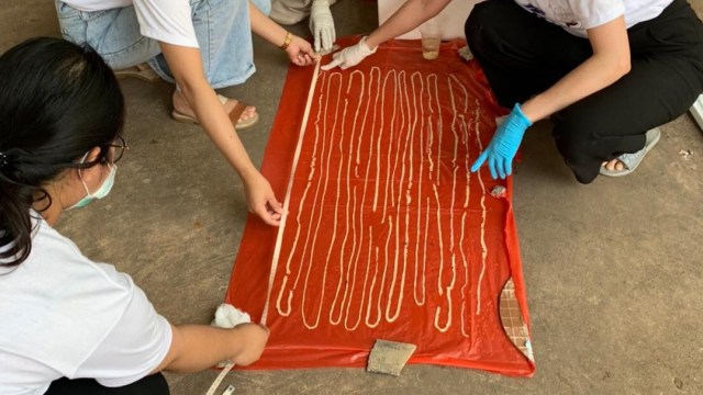 Cacing pita sepanjang 18 meter dari perut seorang pria yang gemar memakan daging mentah. Foto: Parasitic Disease Research Center/Facebook