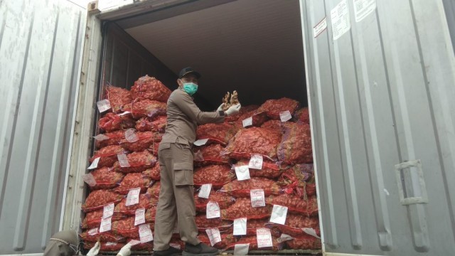 287 Ton Jahe Merah di Mojokerto Dimusnahkan