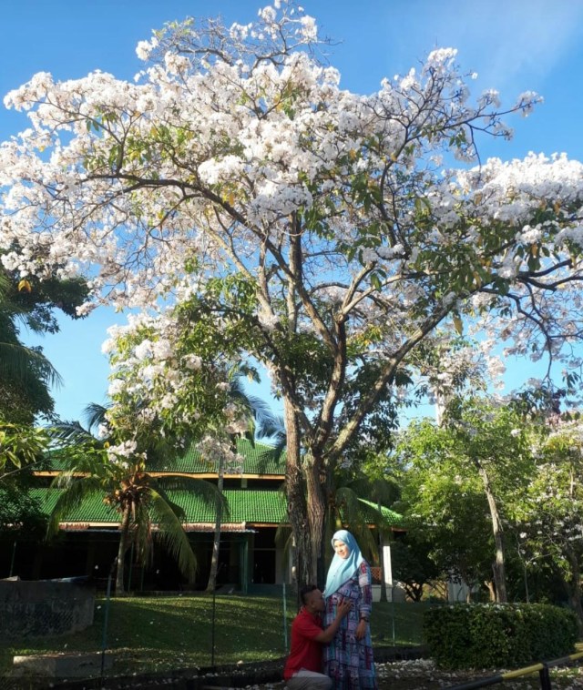 Salah satu pengunjung mengabadikan momen di lokasi spot foto di Batamindo, Sei Beduk. Foto: Rega/kepripedia.com