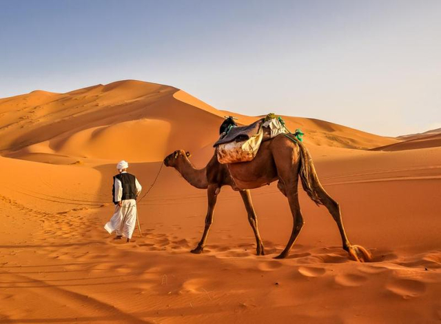 Ilustrasi Kisah Nabi, sumber: PWMU