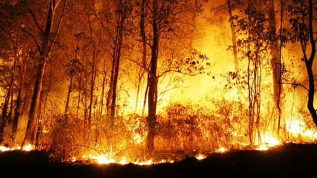Kebakaran hutan di Kalimantan sungguh memberikan kerugian yang besar bagi negara (@sanyoindonesia)