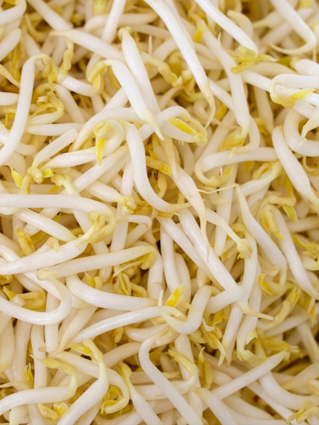 Alasan Ibu Hamil Tidak Boleh Makan Tauge Mentah Foto: Shutterstock